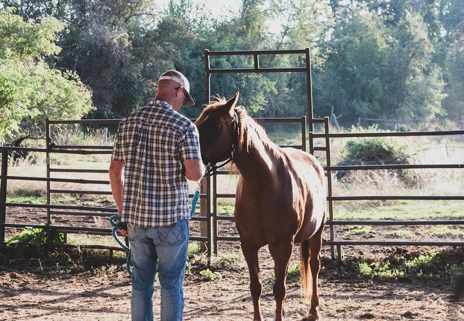 Sources and Resources for Equine Gestalt Coaching in Kalispell MT