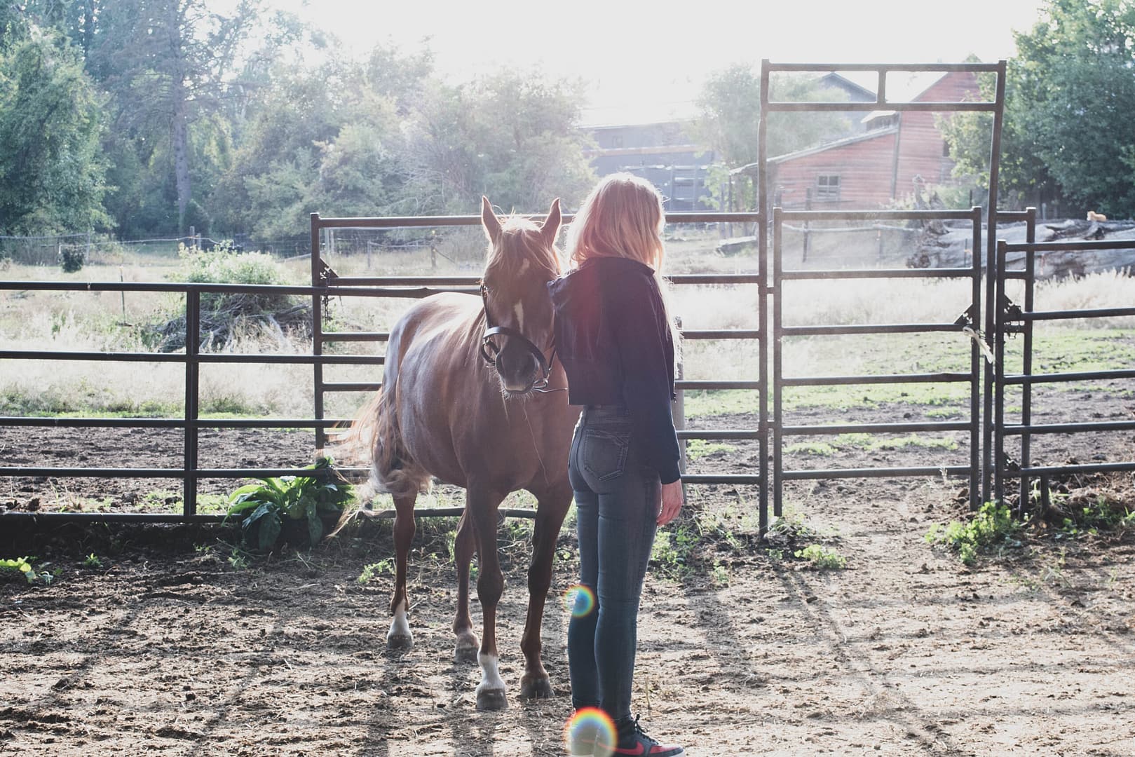 Counselling Like Services In Kalispell MT Counselling Like Services In Kalispell MT